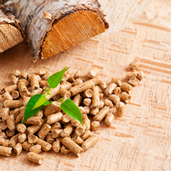 Çam Pelleti A1 Kalite EnPlus